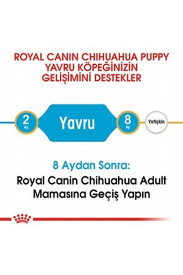 Royal Canin Yavru Köpek Maması Chihuahua 1.5 Kg görsel 6