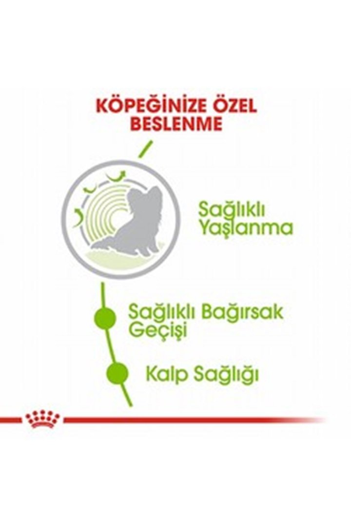 Royal Canin Köpek Maması 12+ Küçük Irk 1.5 Kg görsel 4