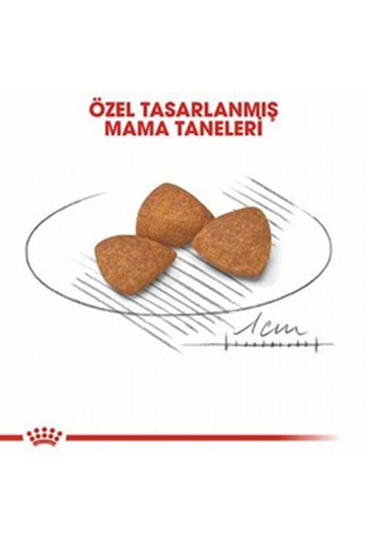 Royal Canin Köpek Maması 12+ Küçük Irk 1.5 Kg görsel 5