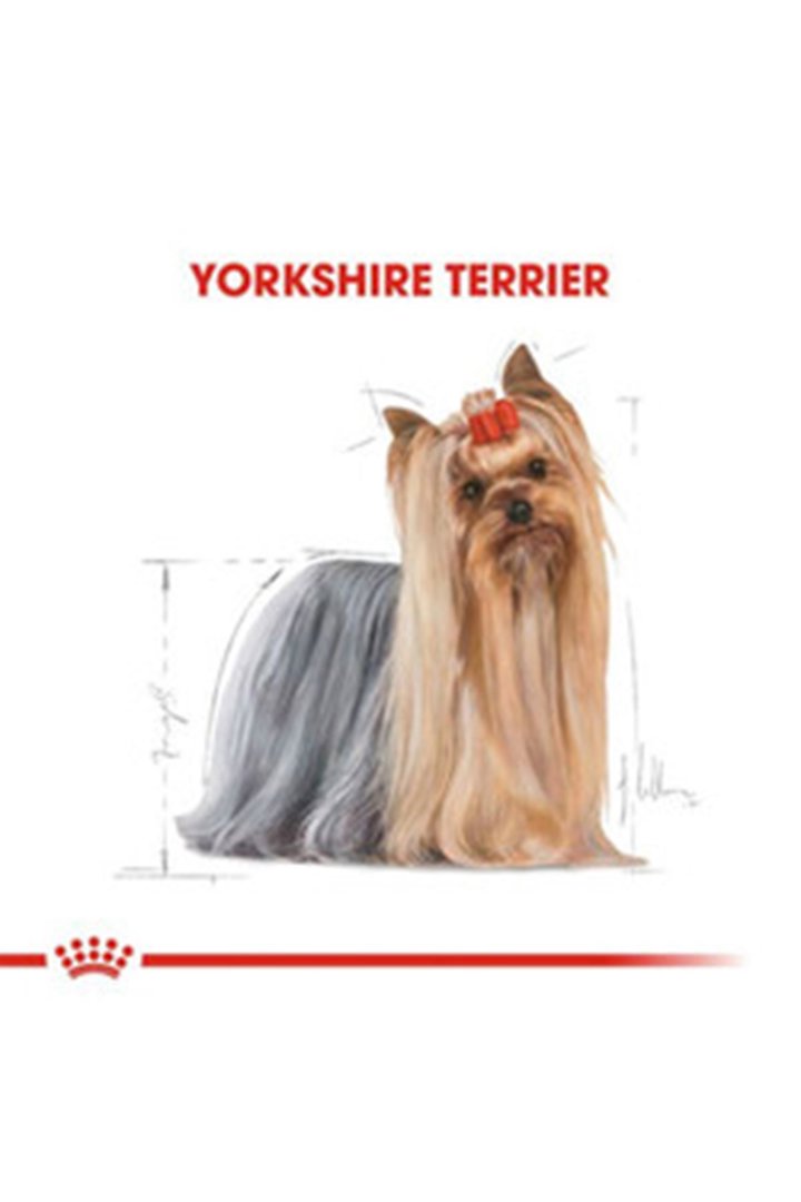 Royal Canin Köpek Yaş Maması Yorkshire 85 G görsel 2