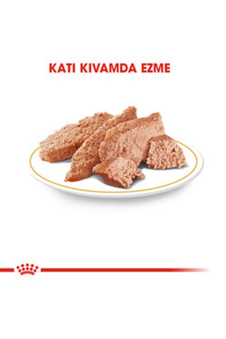 Royal Canin Köpek Yaş Maması Yorkshire 85 G görsel 3
