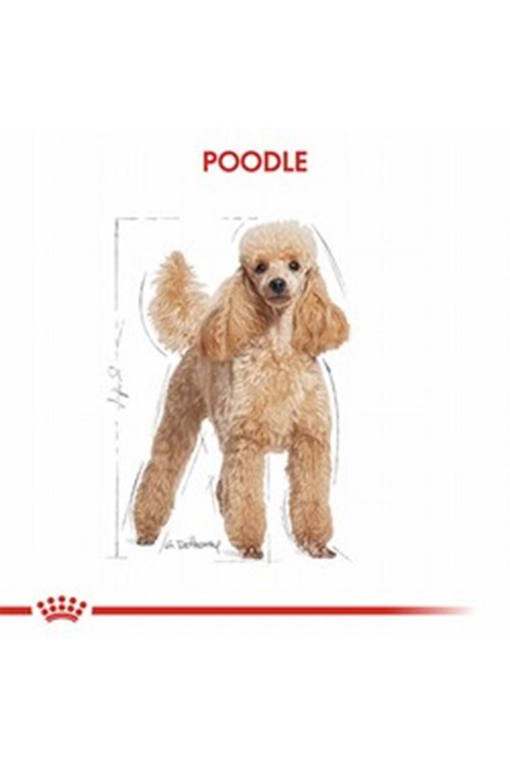 Royal Canin Köpek Yaş Maması Tüy Sağlığı 85 G görsel 4