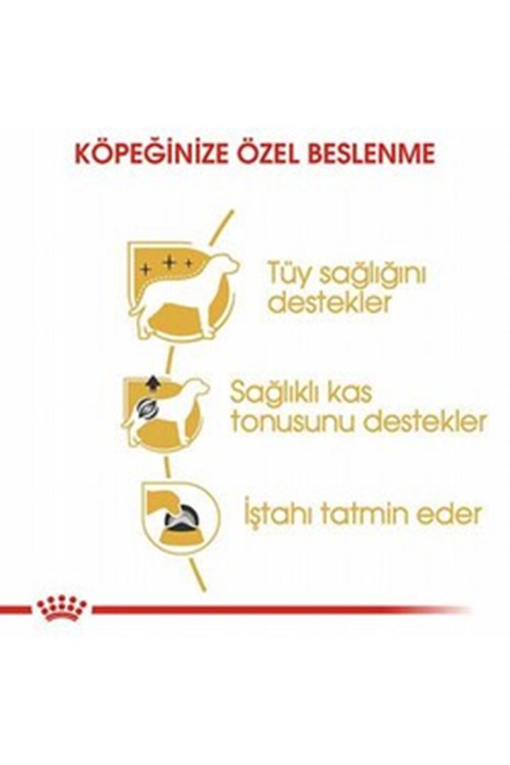 Royal Canin Köpek Yaş Maması Tüy Sağlığı 85 G görsel 5