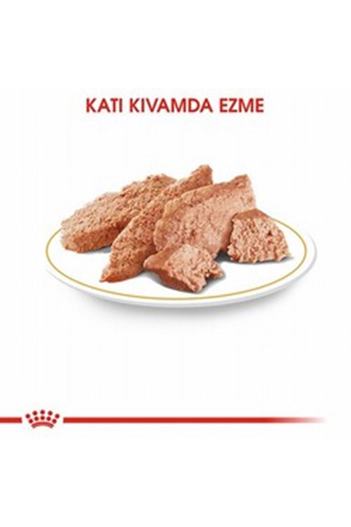 Royal Canin Köpek Yaş Maması Tüy Sağlığı 85 G görsel 6