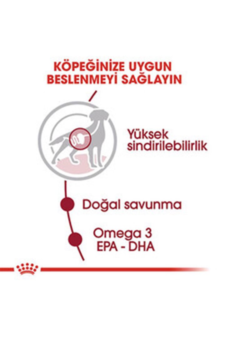 Royal Canin Köpek Yaş Maması Orta Irk 140 G görsel 2