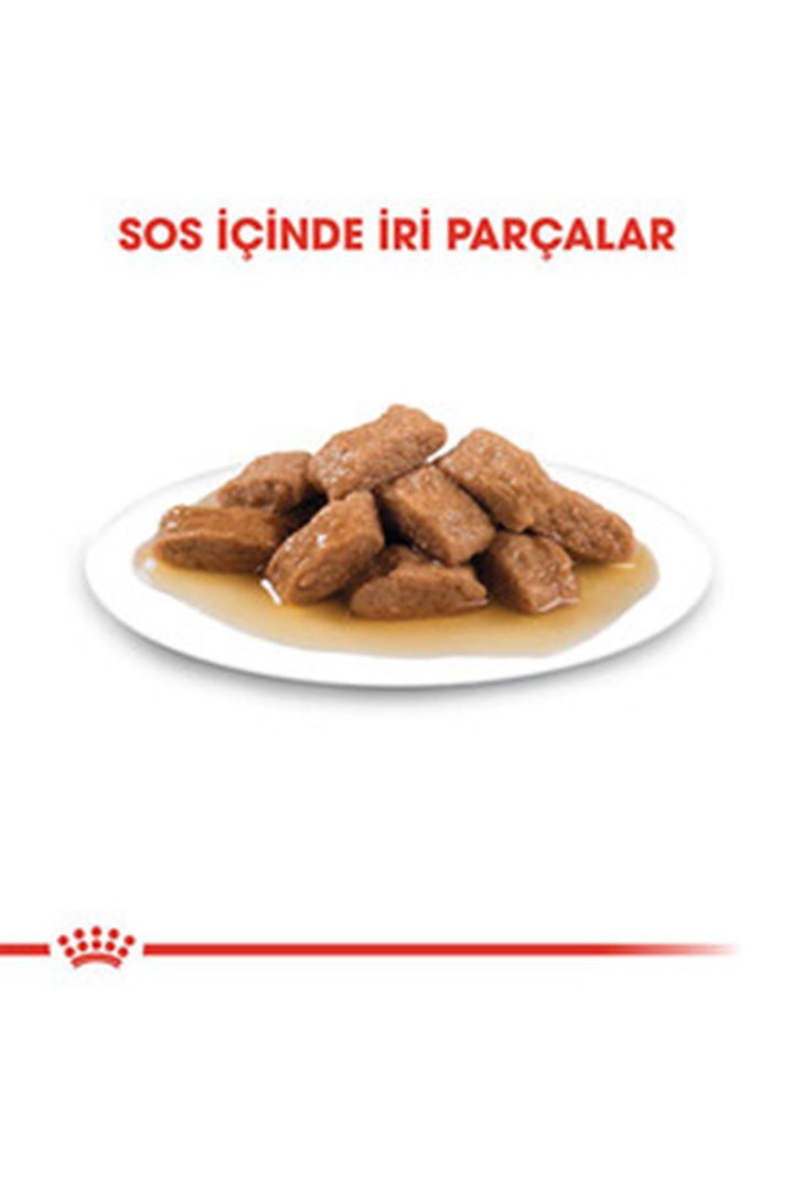 Royal Canin Köpek Yaş Maması Orta Irk 140 G görsel 3