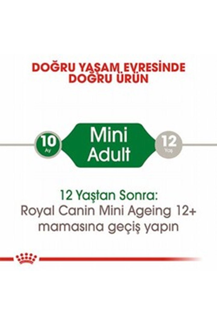 Royal Canin Köpek Yaş Maması Mini Irk 85 G görsel 2