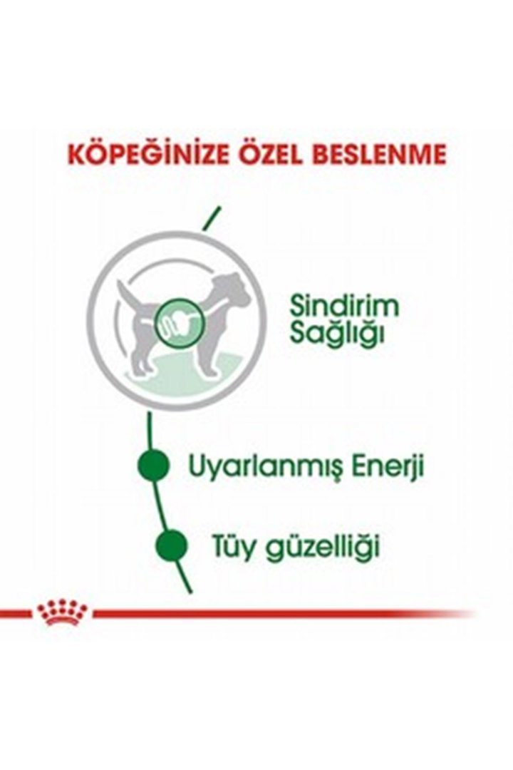 Royal Canin Köpek Yaş Maması Mini Irk 85 G görsel 3