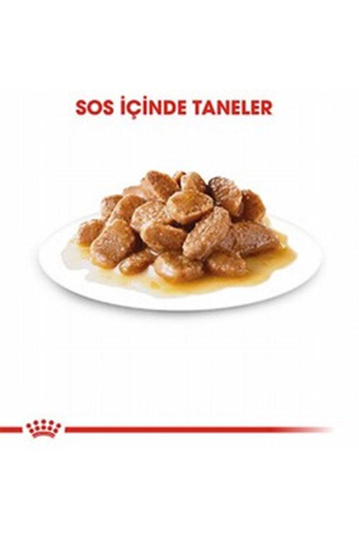 Royal Canin Köpek Yaş Maması Mini Irk 85 G görsel 4