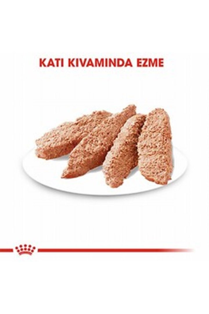 Royal Canin Köpek Yaş Maması Dermacomfort 85 G görsel 3