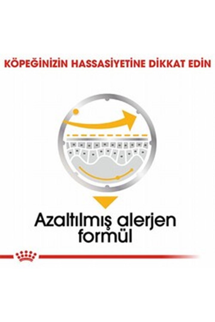 Royal Canin Köpek Yaş Maması Dermacomfort 85 G görsel 4