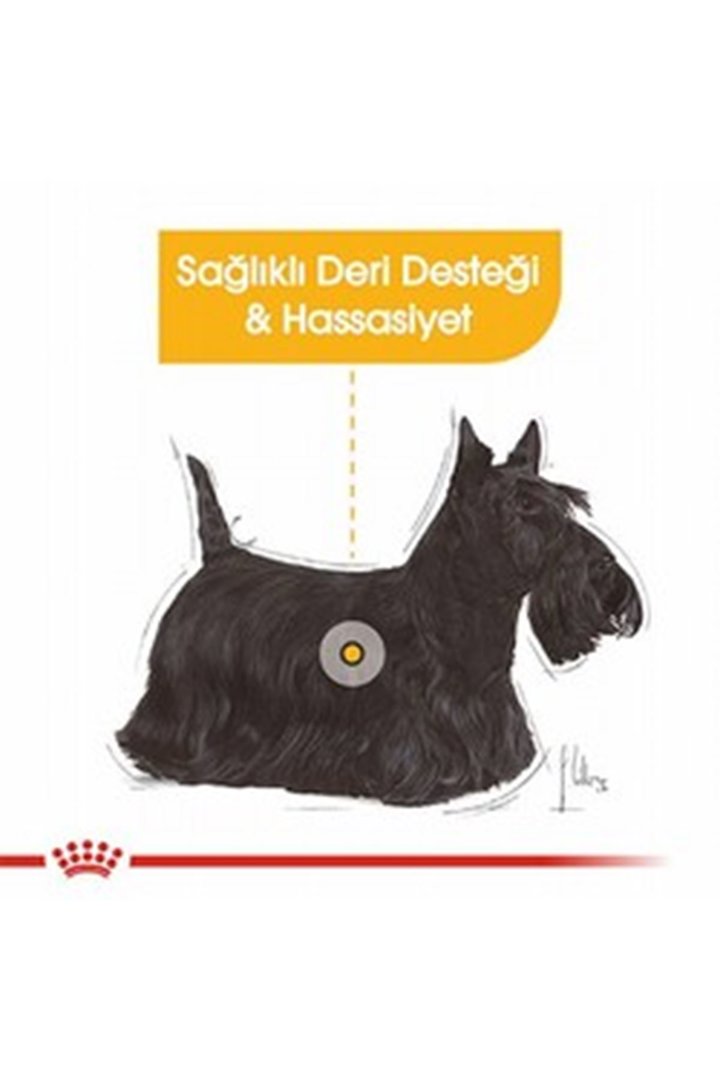 Royal Canin Köpek Yaş Maması Dermacomfort 85 G görsel 7