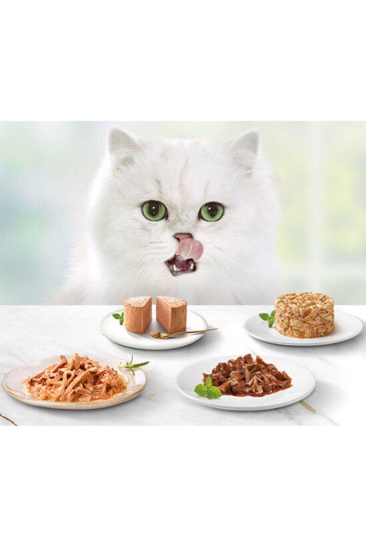 Gourmet Gold Kedi Yaş Maması Kıyılmış Tavuklu 85 G görsel 4