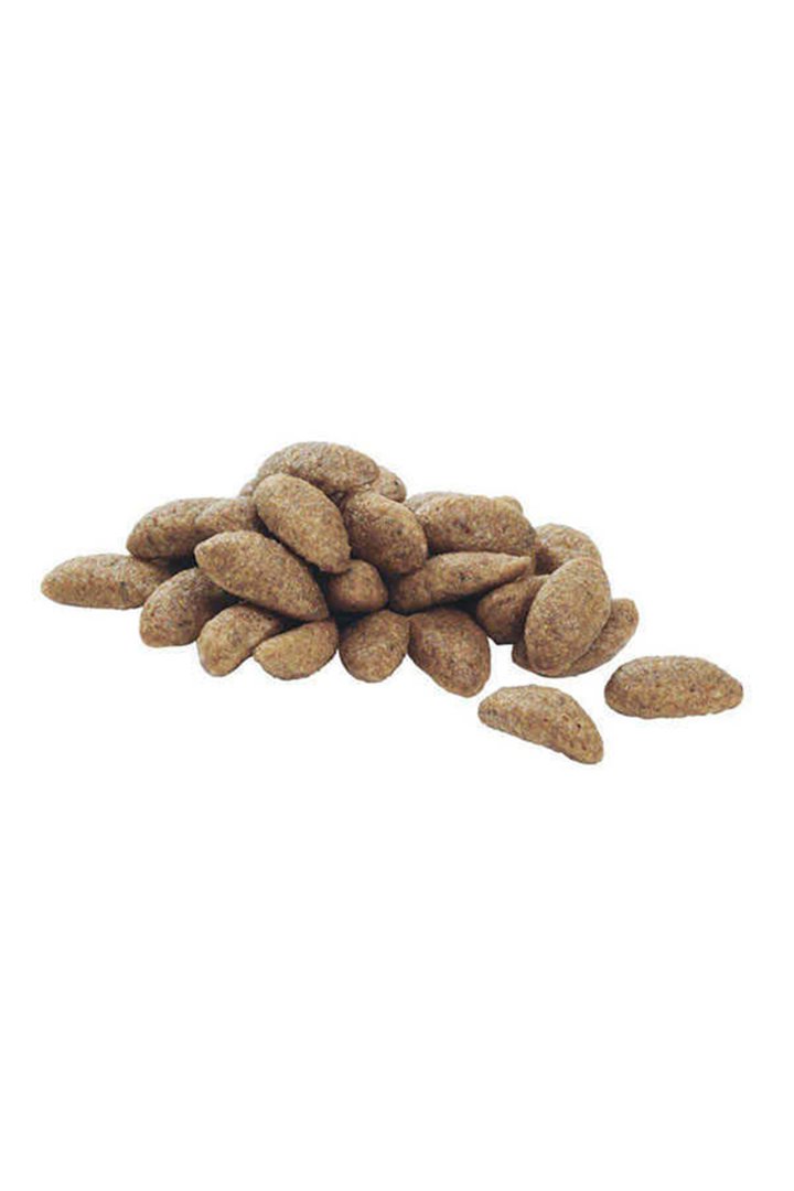 Proplan Yavru Köpek Maması Orta Irk Somonlu 3 Kg görsel 2