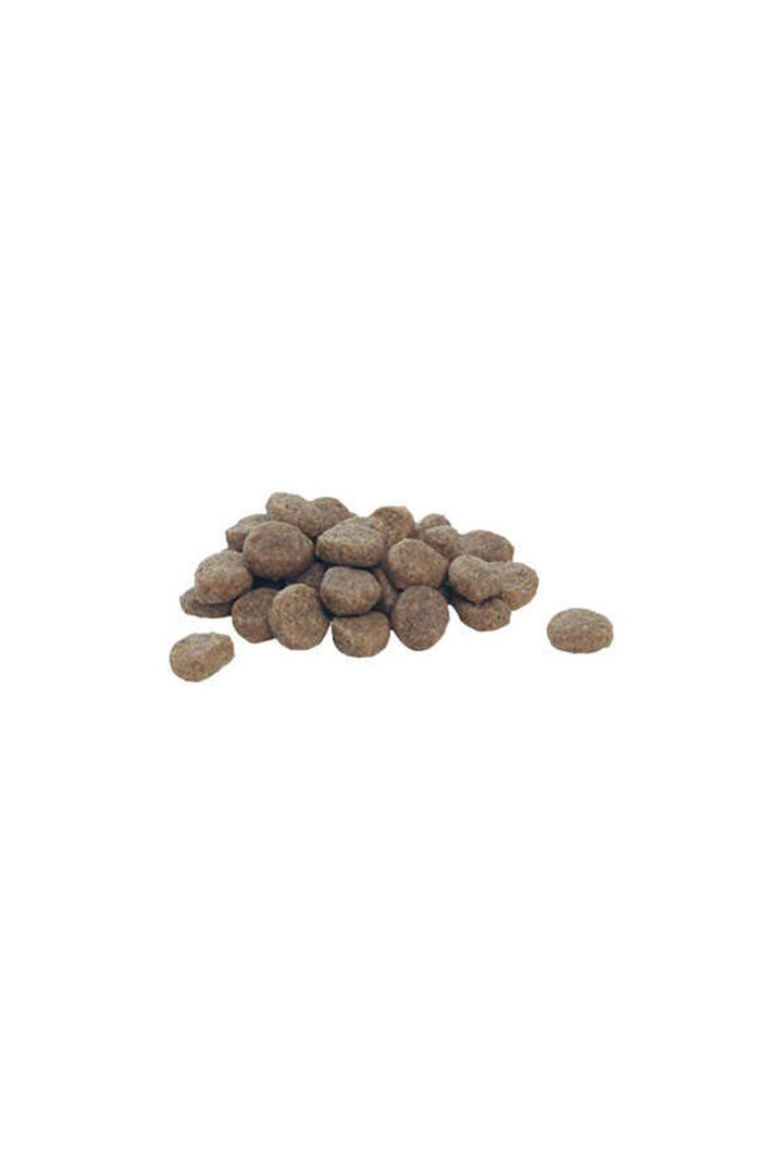 Proplan Yavru Köpek Mama Orta Irk Kuzu Pirinç 3 Kg görsel 4