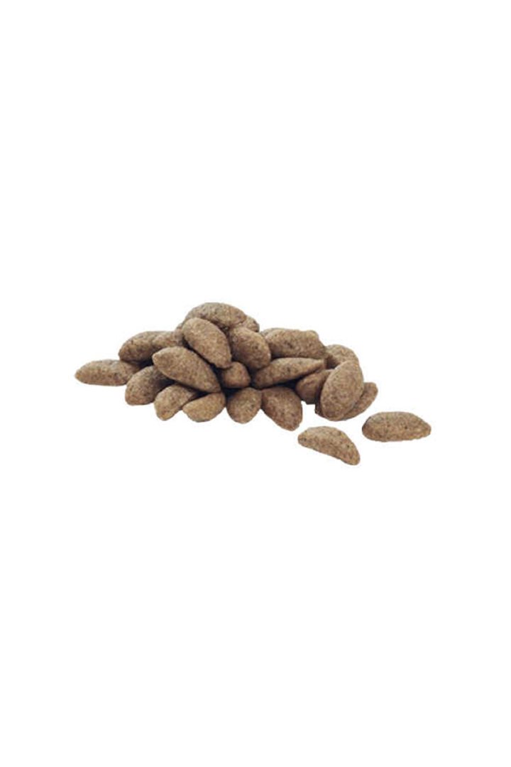 Proplan Köpek Maması Orta Irk Kuzulu 14 Kg görsel 4
