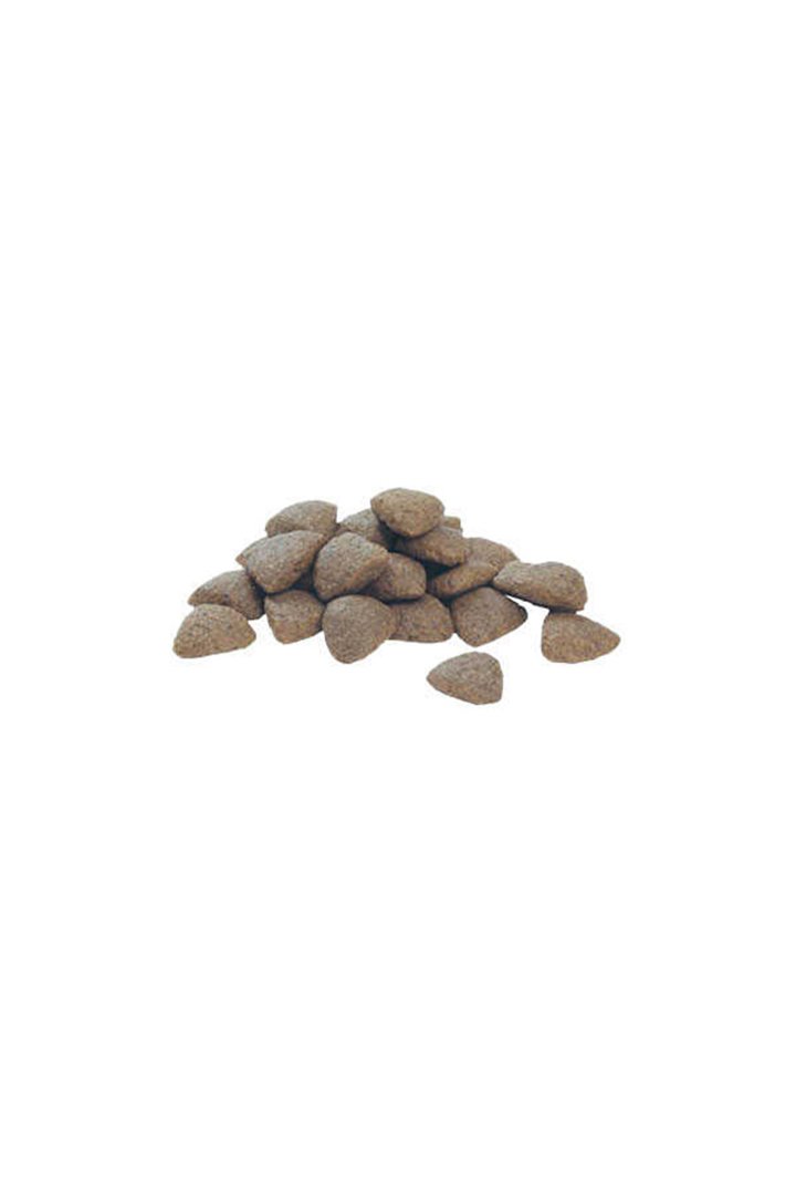 Proplan Köpek Maması Orta Irk Kuzulu 14 Kg görsel 5