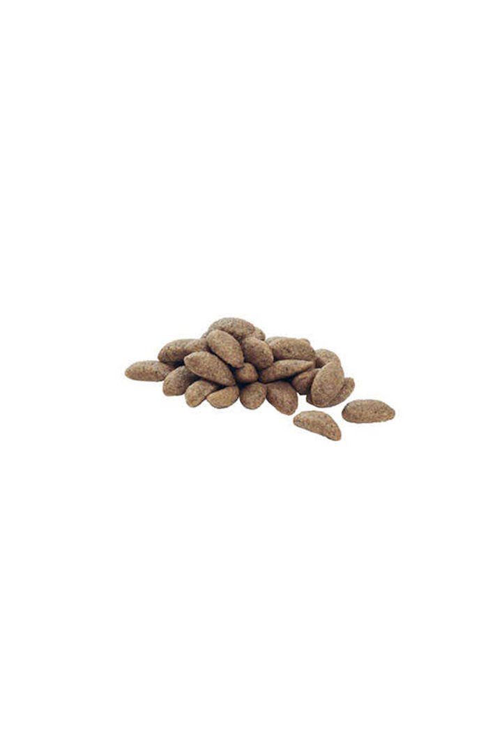 Proplan Köpek Maması Büyük Irk Somon,Pirinç 14 Kg görsel 2