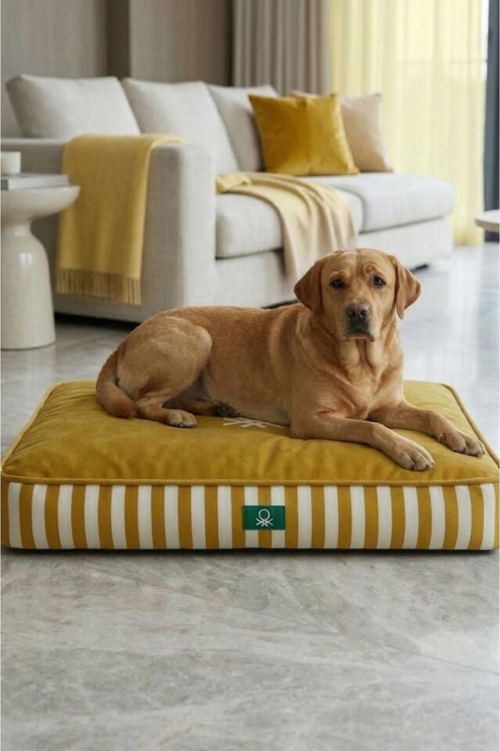 Benetton Yatak Çizgili Sarı (M) 70*50 Cm