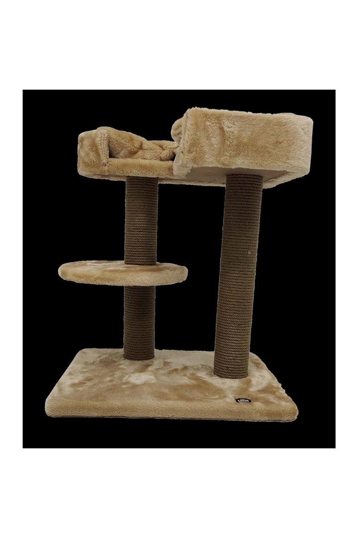 Lotus Kedi Tırmalama Padua Bal Rengi