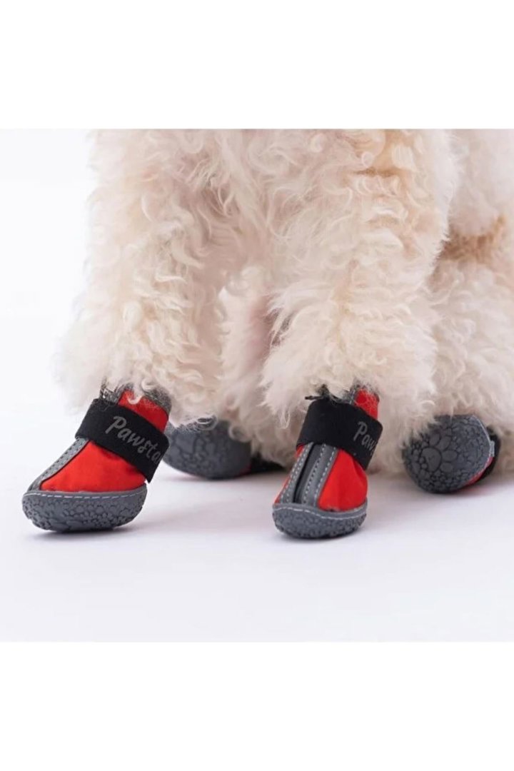 Pawstar Köpek Ayakkabısı Kırmızı No:5 görsel 2