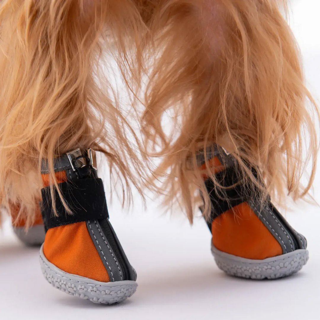 Pawstar Köpek Ayakkabısı Turuncu No:2
