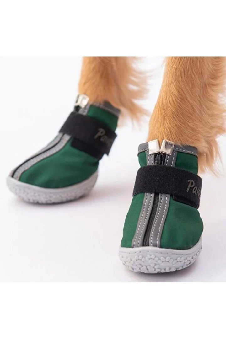 Pawstar Köpek Ayakkabısı Yeşil No:3