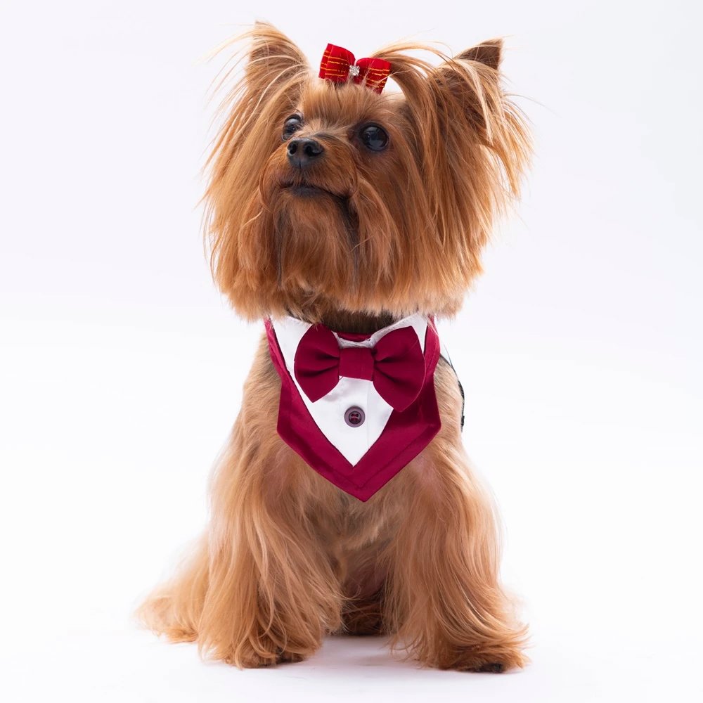 Pawstar Bordo Fular 2 Beden