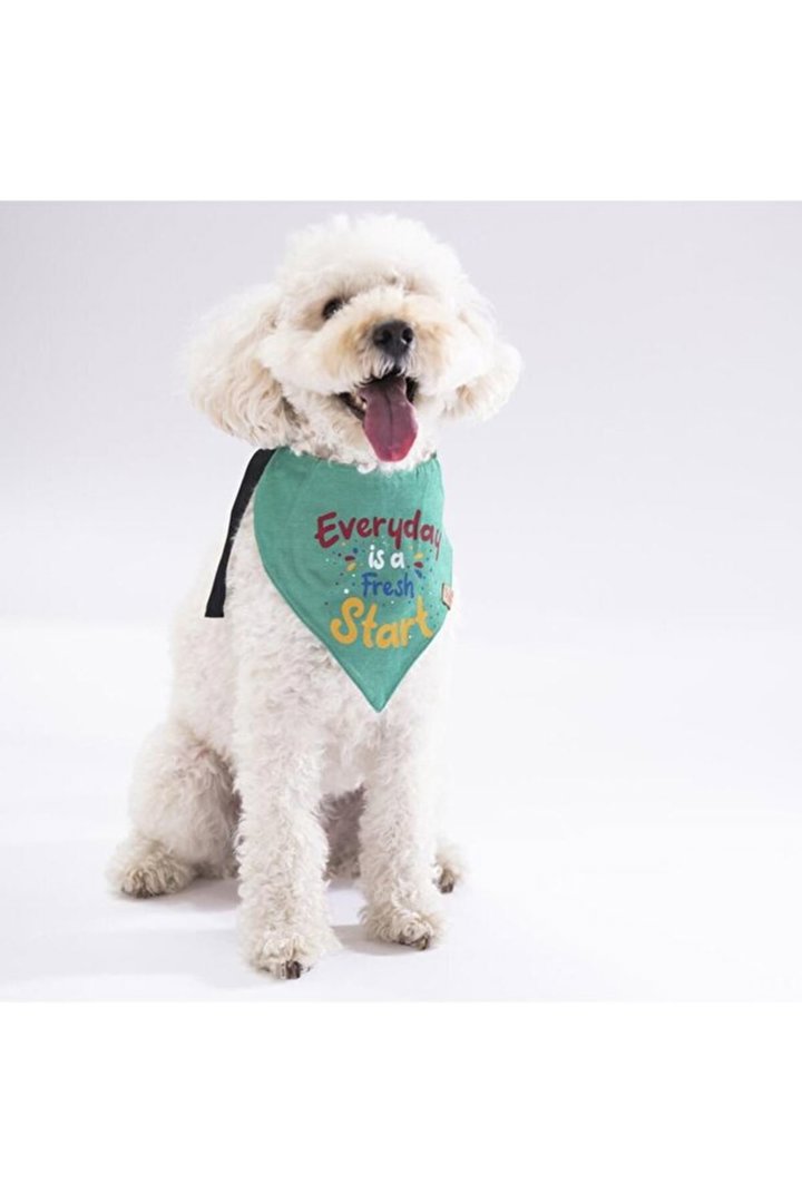 Pawstar Yeşil Fular 2 Beden