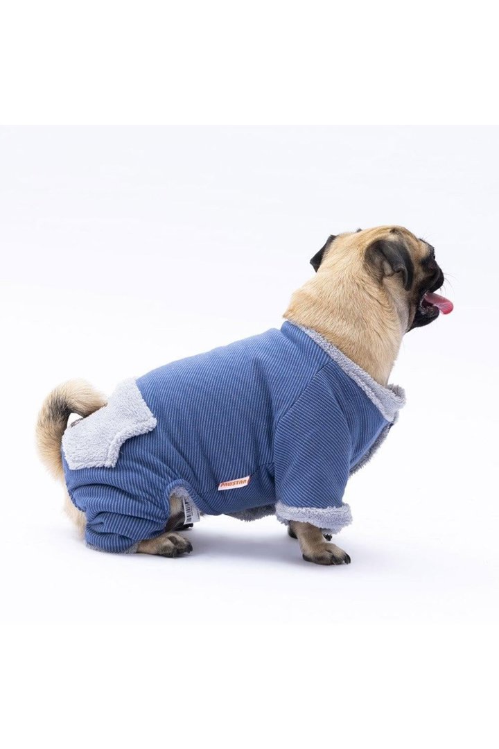 Pawstar Tulum Mavi Alabama (XL) görsel 3