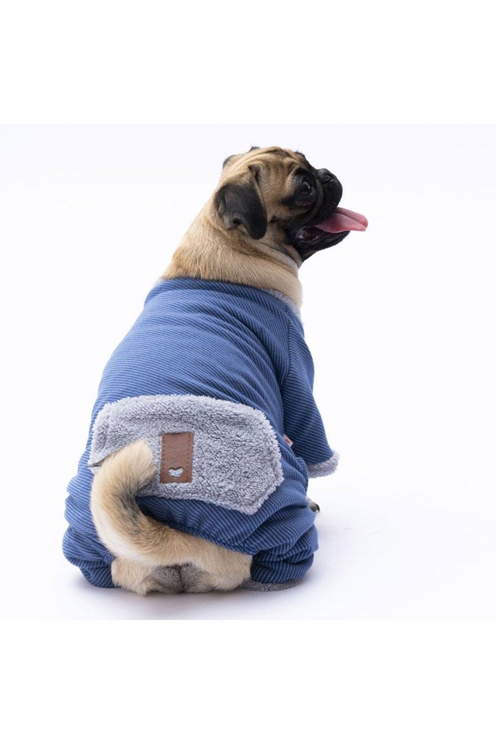 Pawstar Tulum Mavi Alabama (XL) görsel 4