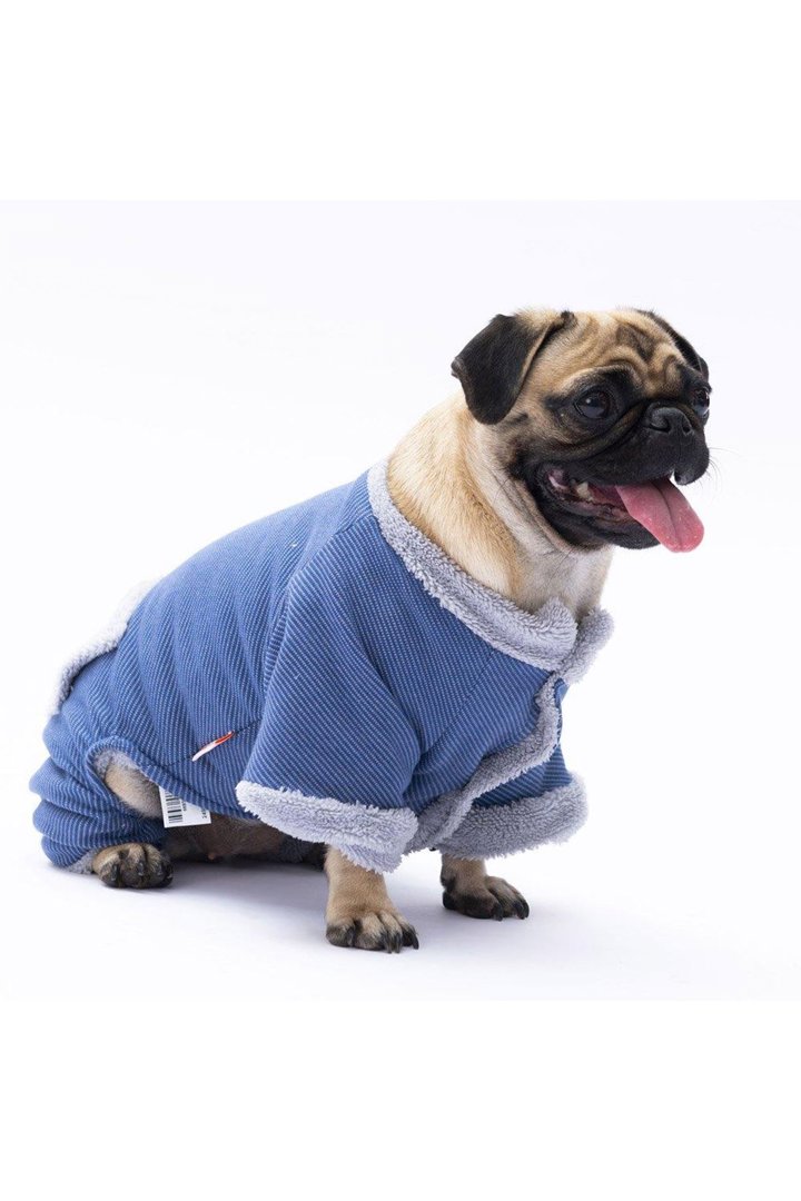 Pawstar Tulum Mavi Alabama (2XL) görsel 2