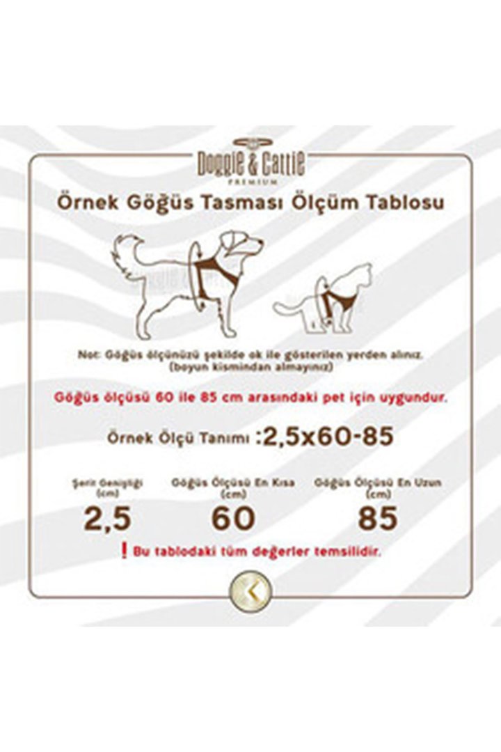 Cattie Kedi Göğüs, Gezdirme Takımı Turuncu 25-40Cm görsel 2