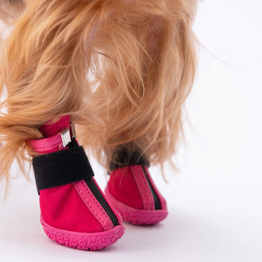 Pawstar Köpek Ayakkabısı Fuşya No:3