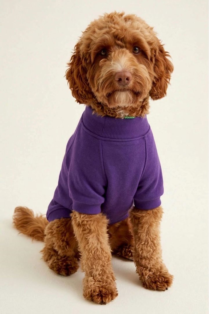 Benetton Sweatshirt Mor (L)