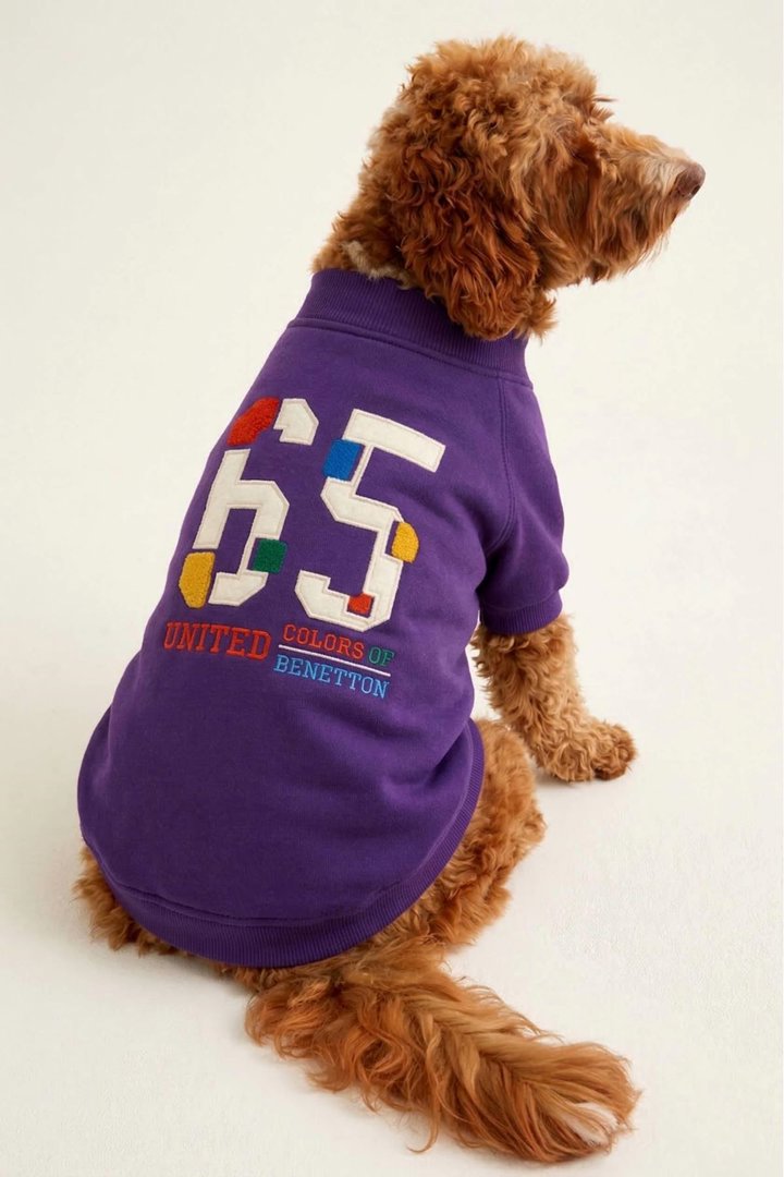 Benetton Sweatshirt Mor (XXL)