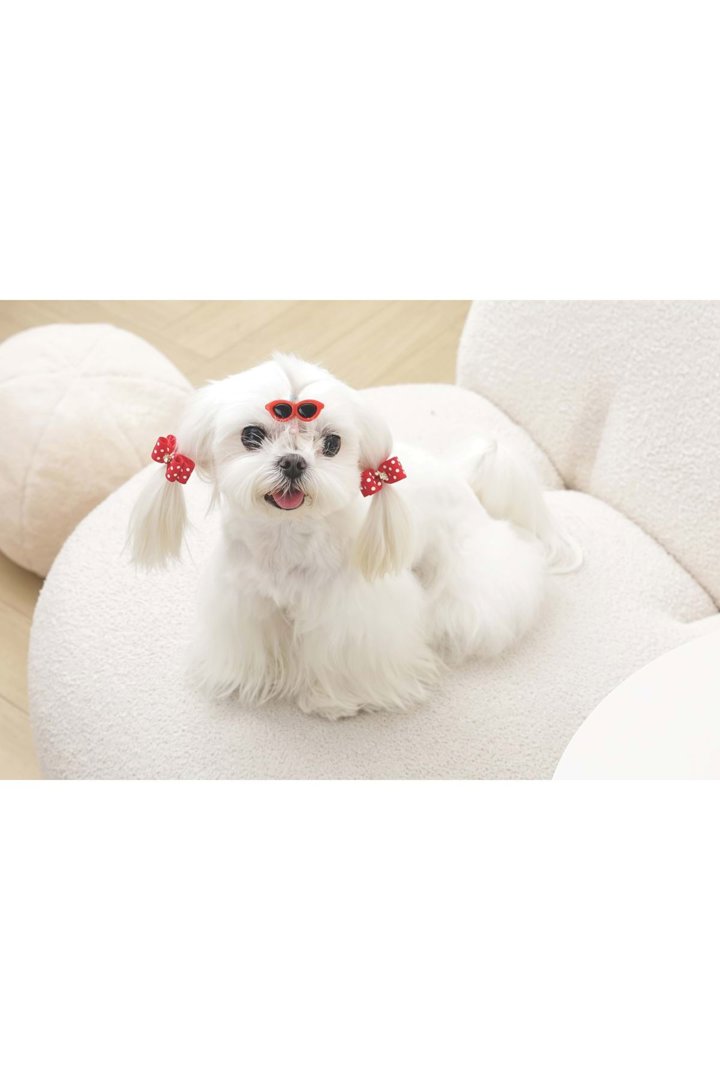 M-Pets Glam Köpekler İçin Toka Kırmızı görsel 3