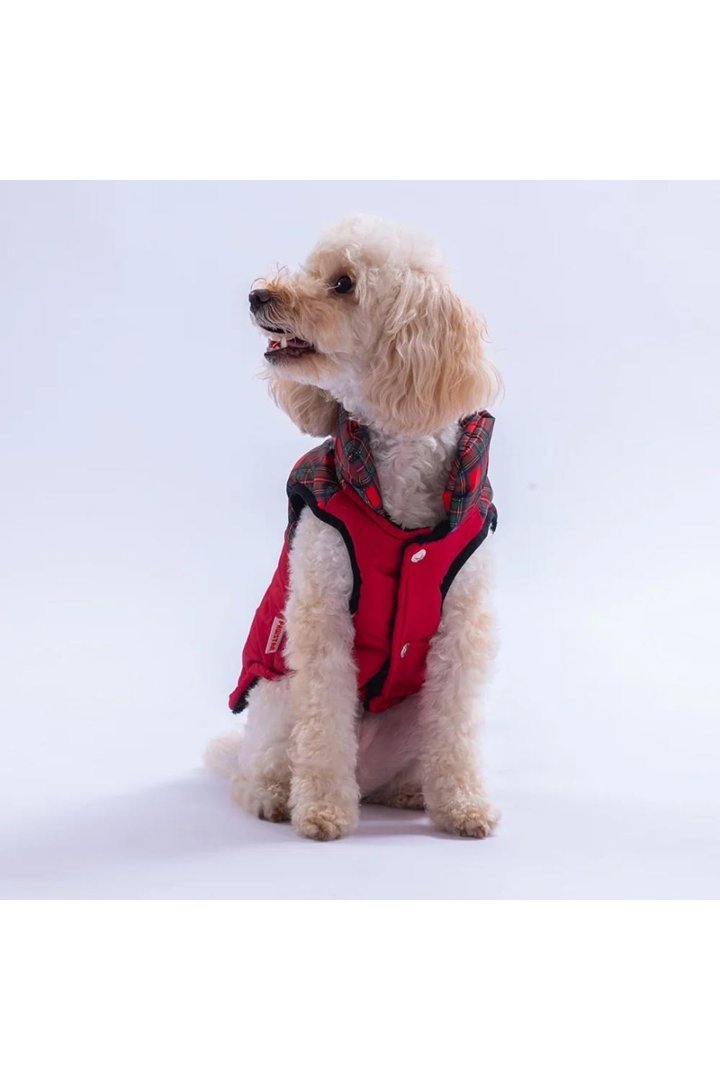 Pawstar Yelek Elgin Paws Kırmızı (L) görsel 3