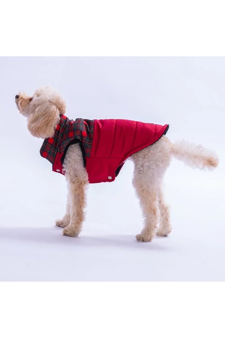 Pawstar Yelek Elgin Paws Kırmızı (L) görsel 5