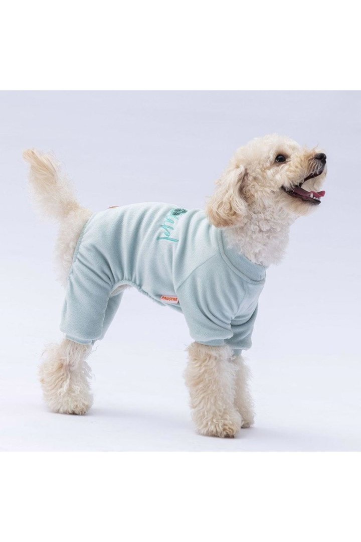 Pawstar Tulum Mint Angers (XL)