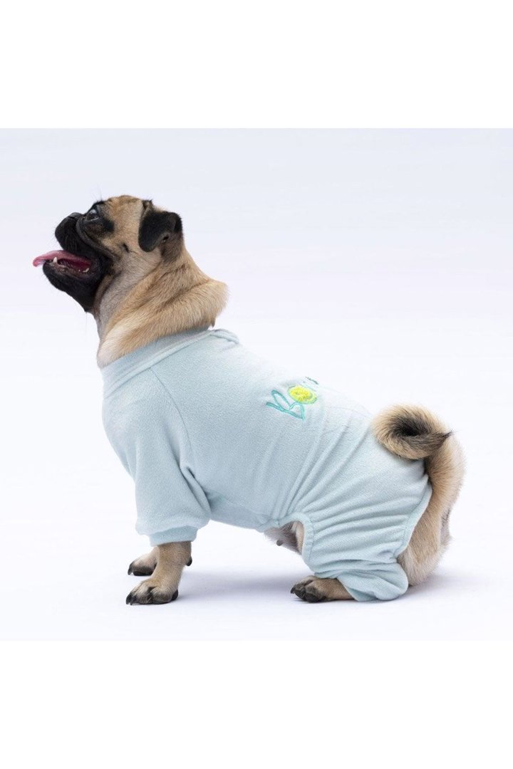 Pawstar Tulum Mint Angers (M) görsel 5
