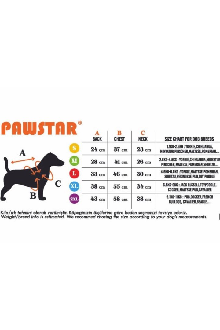 Pawstar Tulum Mint Angers (M) görsel 6