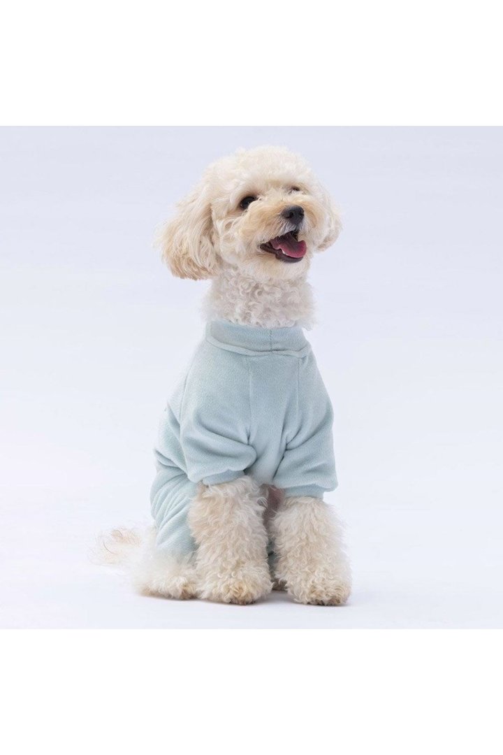 Pawstar Tulum Mint Angers (M) görsel 7