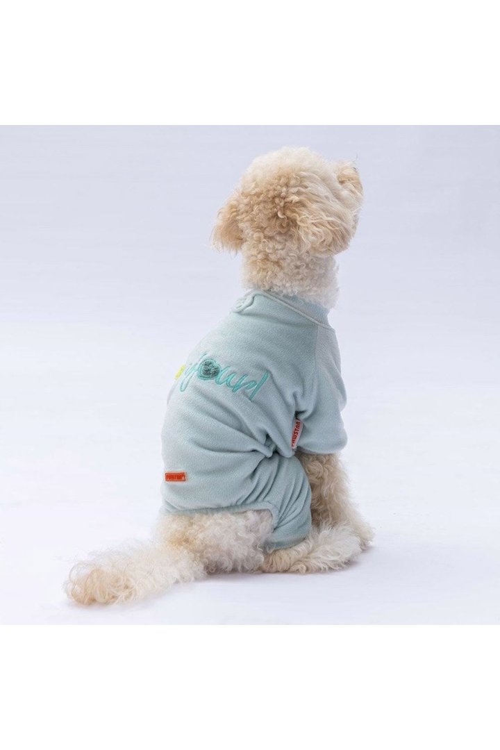 Pawstar Tulum Mint Angers (L) görsel 5