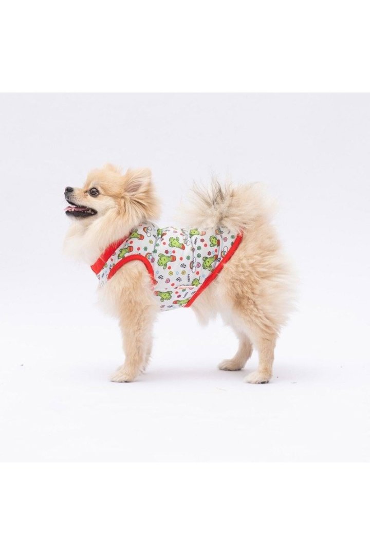 Pawstar T-Shirt Mutlu Kaktüs Desenli (M)