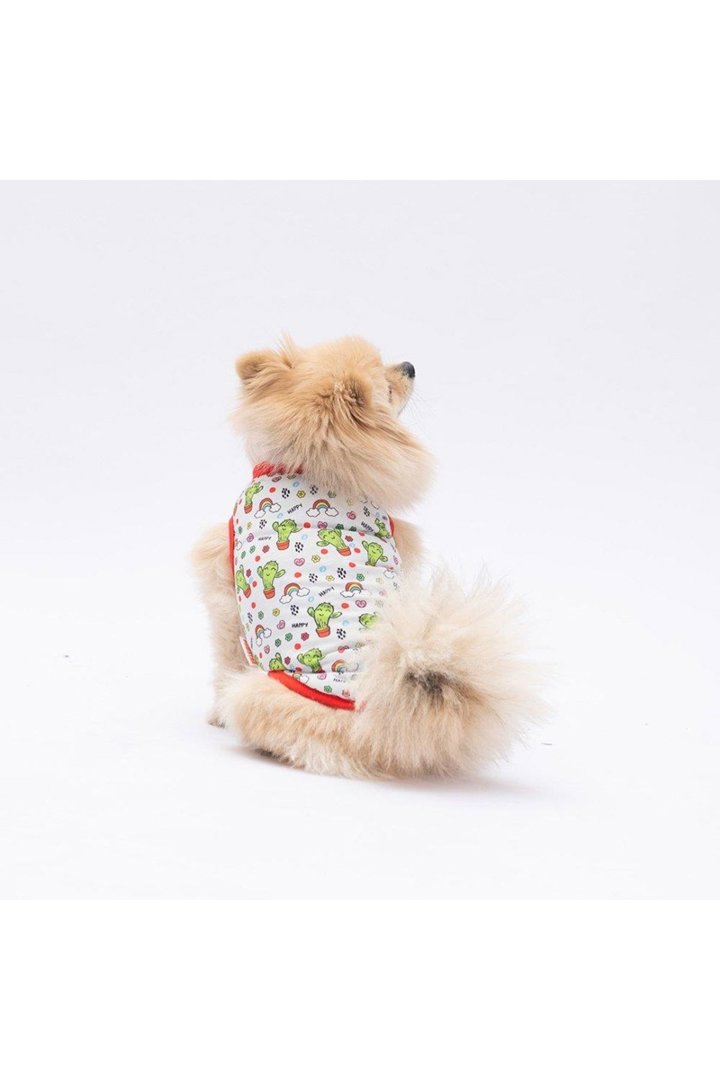 Pawstar T-Shirt Mutlu Kaktüs Desenli (M) görsel 3