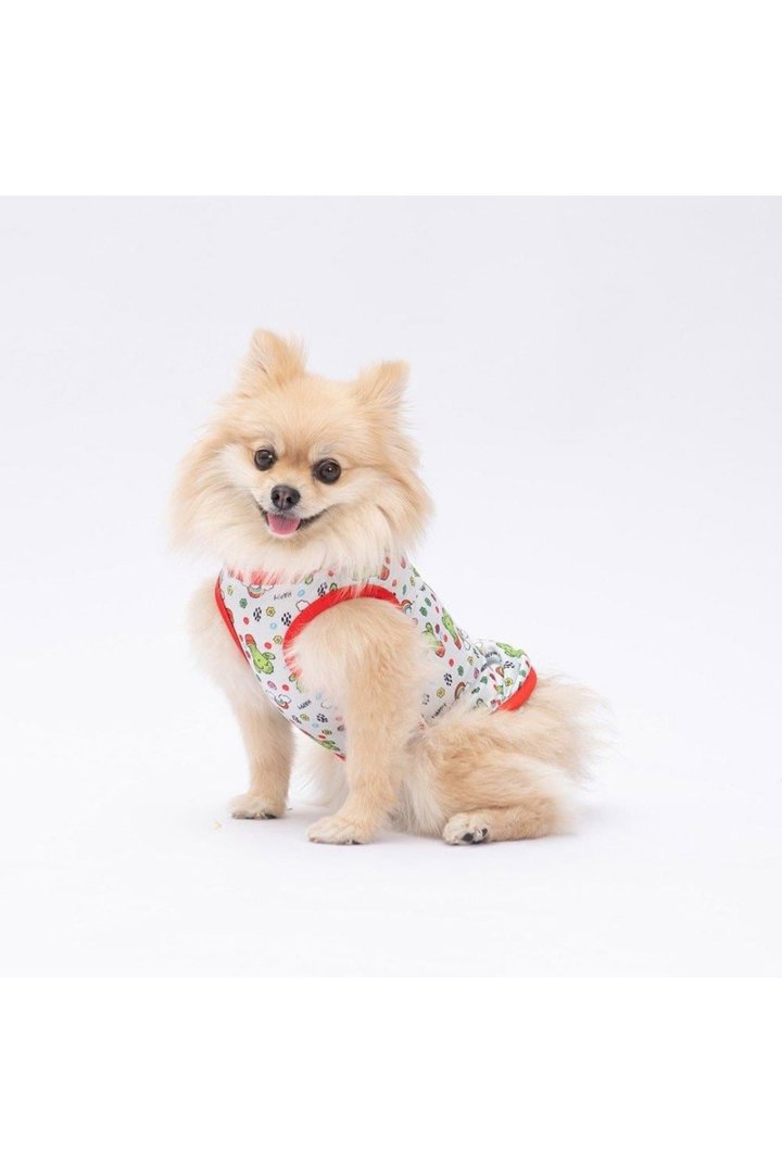 Pawstar T-Shirt Mutlu Kaktüs Desenli (L) görsel 2