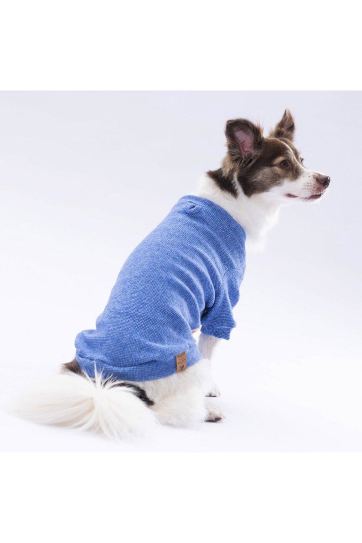 Pawstar Sweat Merinos Mavi Renkli (XL) görsel 5
