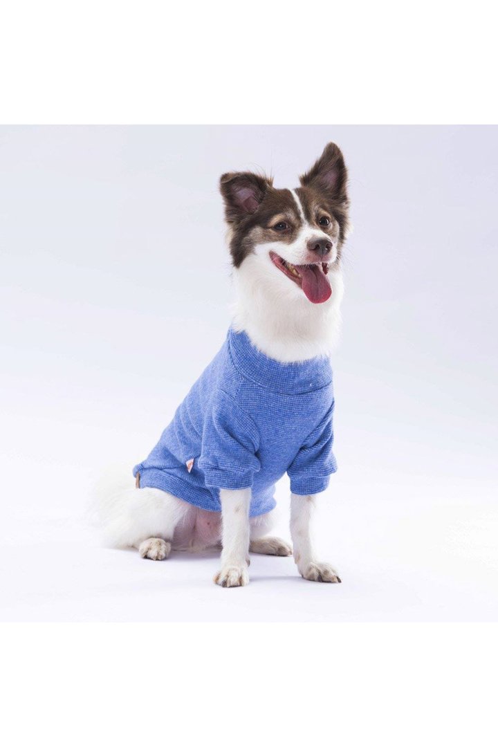 Pawstar Sweat Merinos Mavi Renkli (M) görsel 7