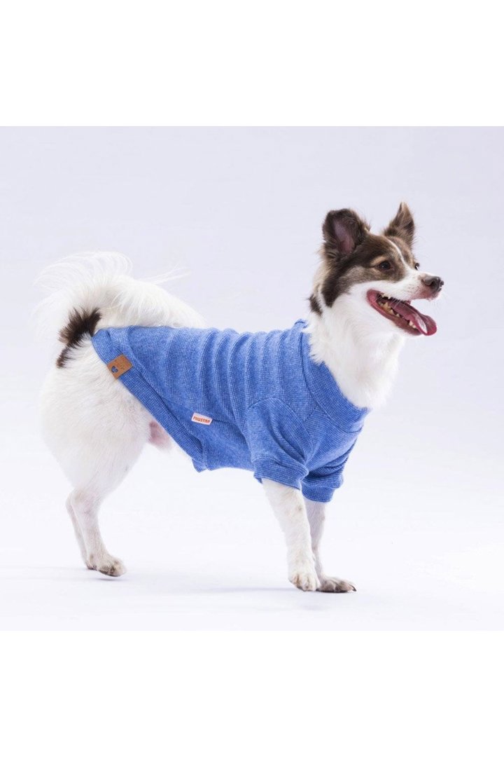 Pawstar Sweat Merinos Mavi Renkli (2XL) görsel 6